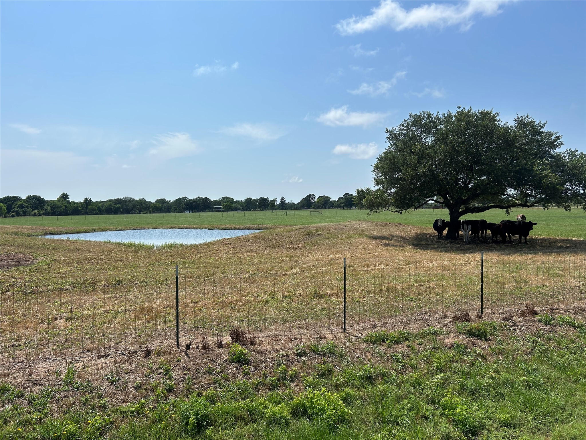 38535 Wiggins Road Hempstead, TX 77445 - Photo 12 of 24 a view of a lake with a yard