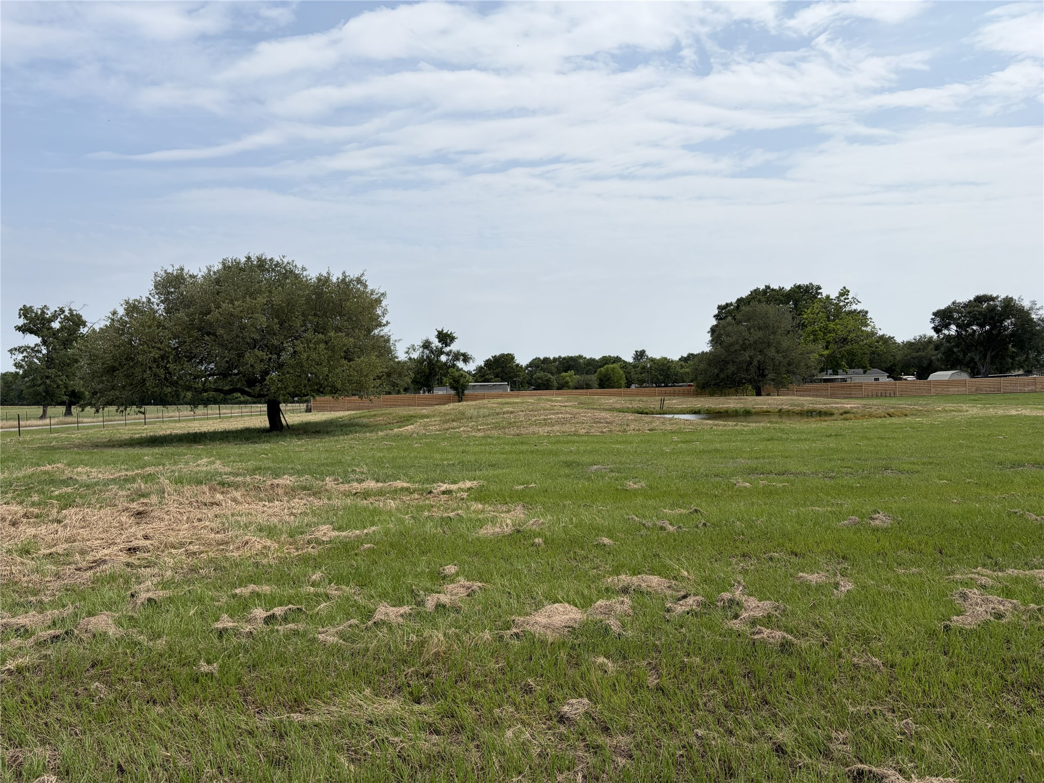 38535 Wiggins Road Hempstead, TX 77445 - Photo 16 of 24 a view of outdoor space with green field and trees in the background