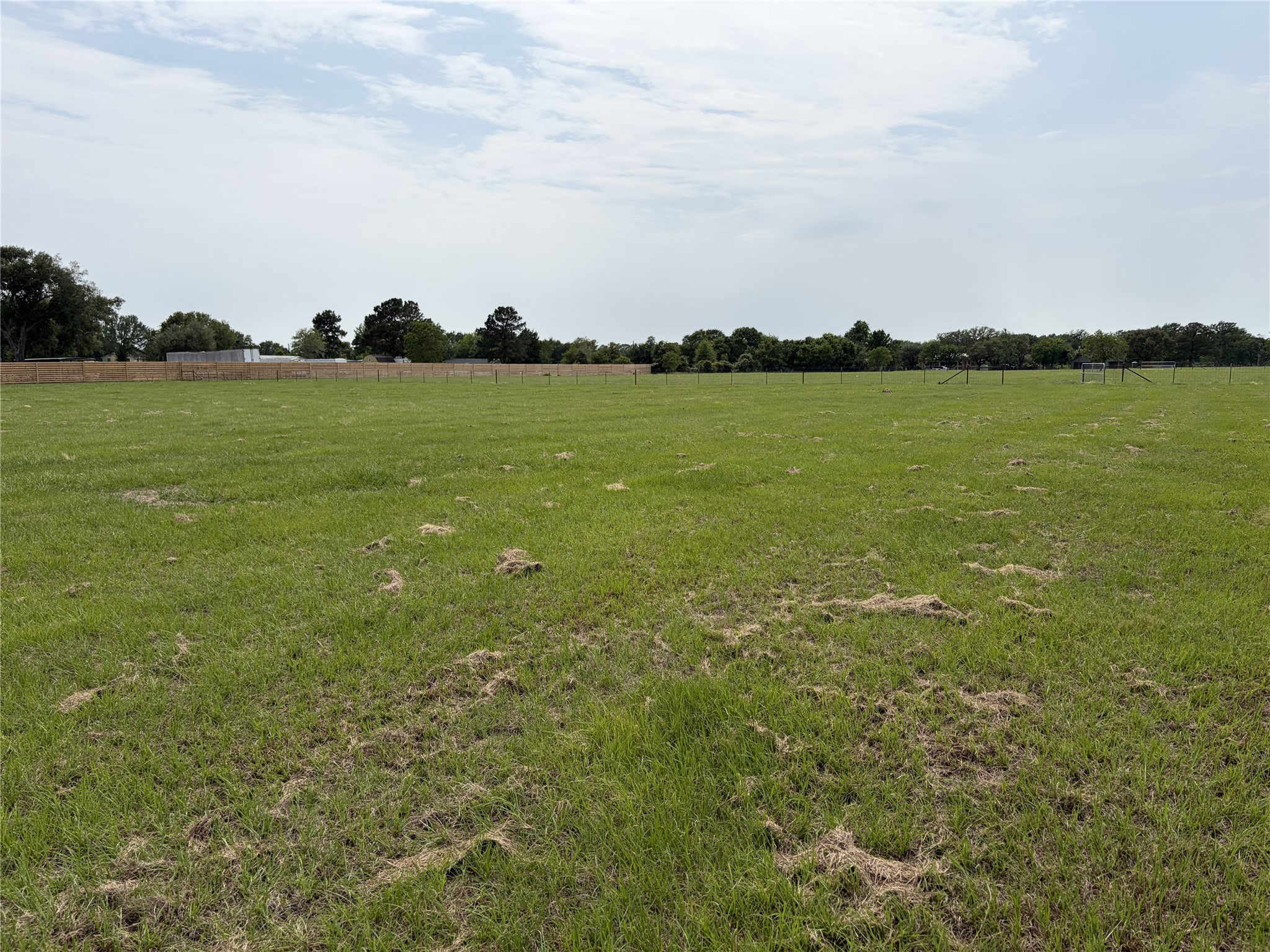 38535 Wiggins Road Hempstead, TX 77445 - Photo 17 of 24 a view of yard with ocean view