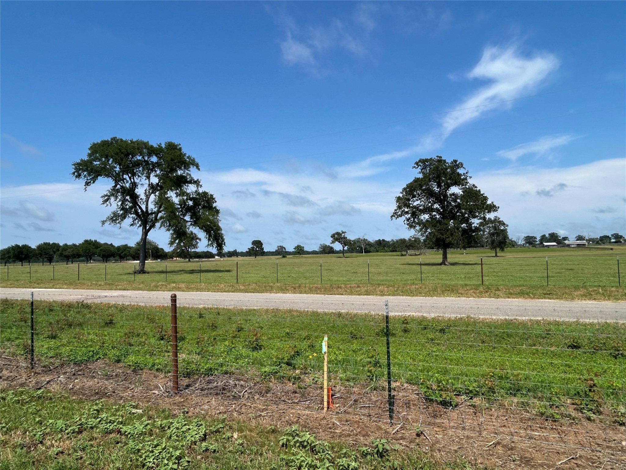 38535 Wiggins Road Hempstead, TX 77445 - Photo 19 of 24 a view of a golf course with a lake view