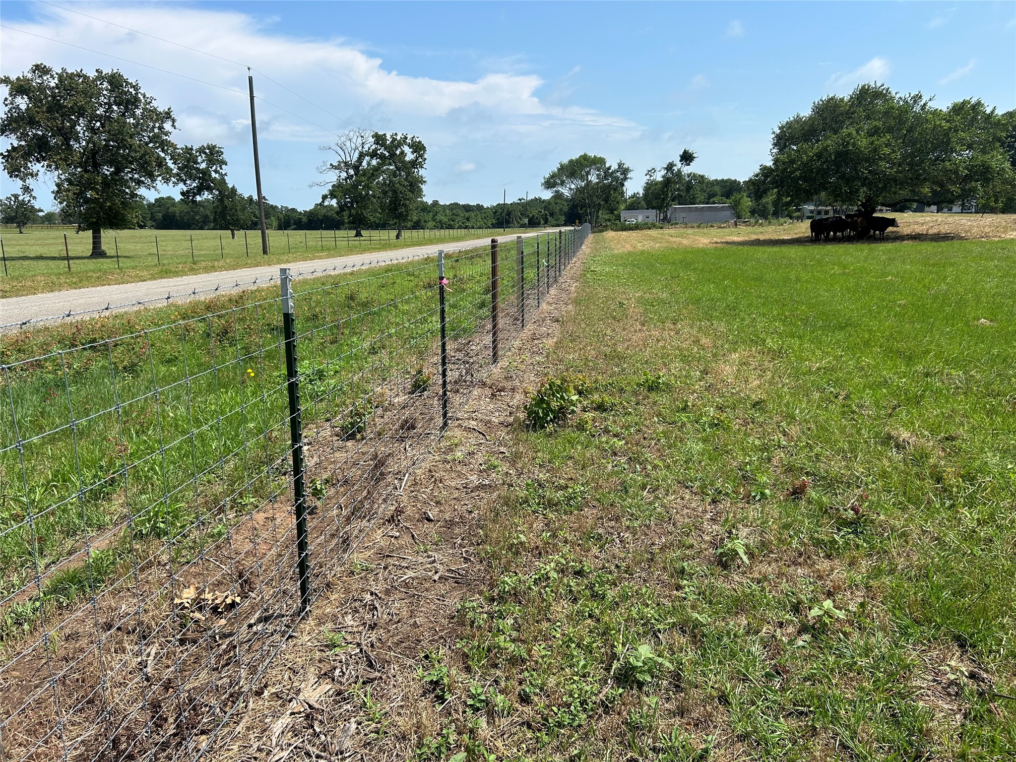 38535 Wiggins Road Hempstead, TX 77445 - Photo 20 of 24 a view of a golf course with a lake