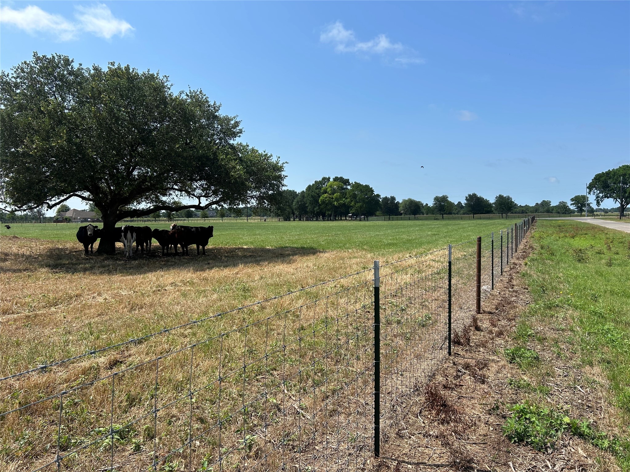 38535 Wiggins Road Hempstead, TX 77445 - Photo 21 of 24 a view of a lake with a yard