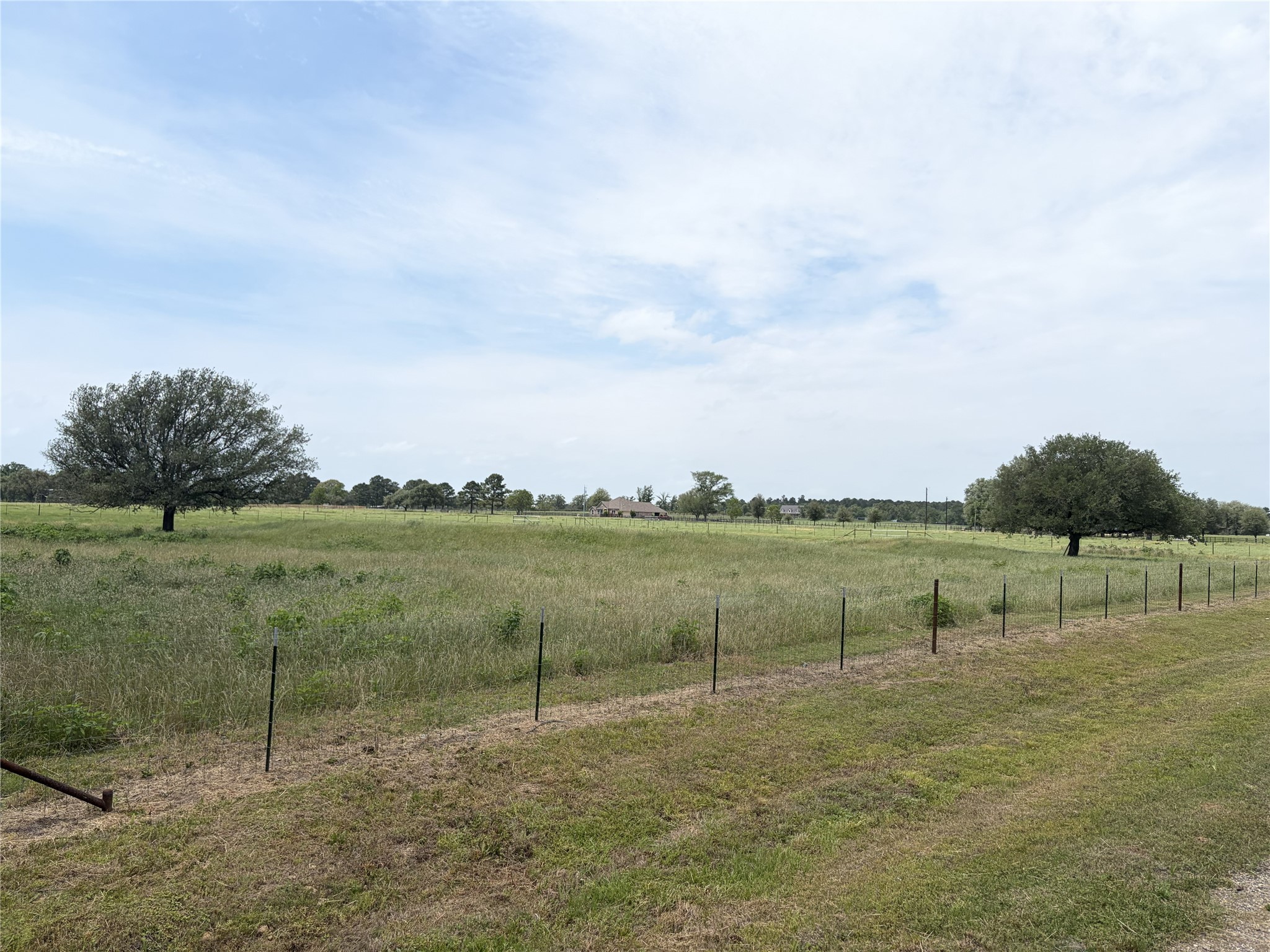38535 Wiggins Road Hempstead, TX 77445 - Photo 22 of 24 a view of a lake with a yard