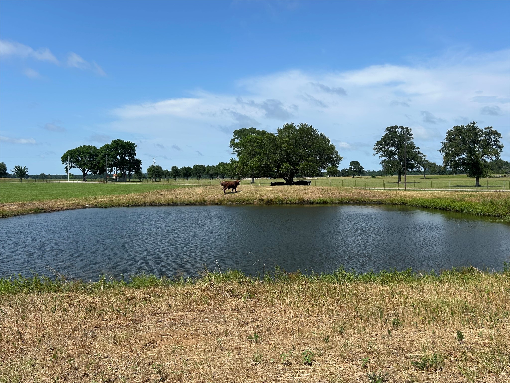 38535 Wiggins Road Hempstead, TX 77445 - Photo 3 of 24 a view of an ocean and beach