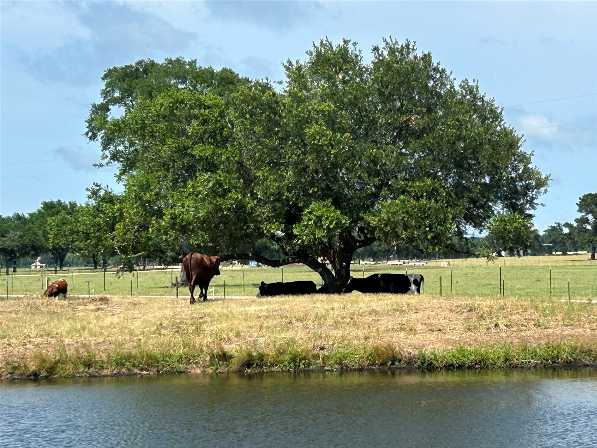 38535 Wiggins Road Hempstead, TX 77445 - Photo 4 of 24 a view of house with a yard