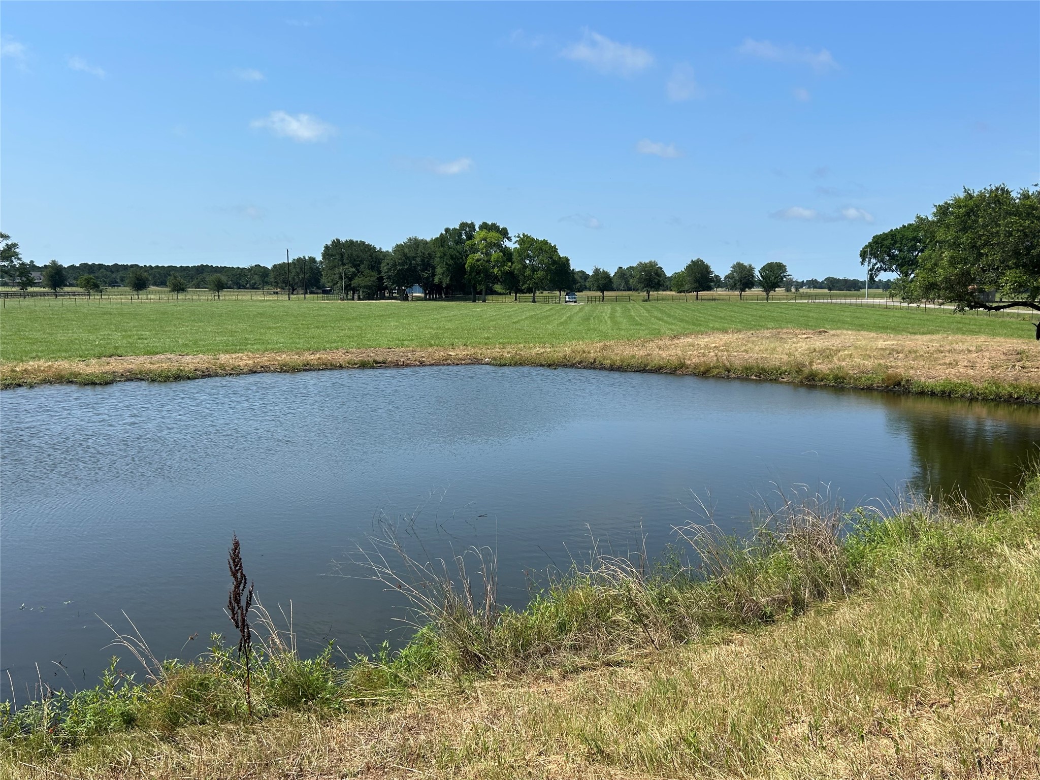 38535 Wiggins Road Hempstead, TX 77445 - Photo 6 of 24 a view of a lake with a big yard