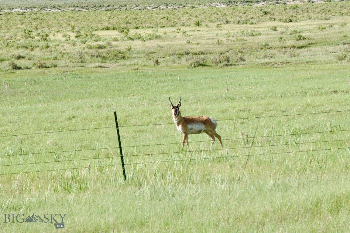 Tbd South Valley Road Dillon, MT 59725 - Photo 2 of 4 Gallery Image 2
