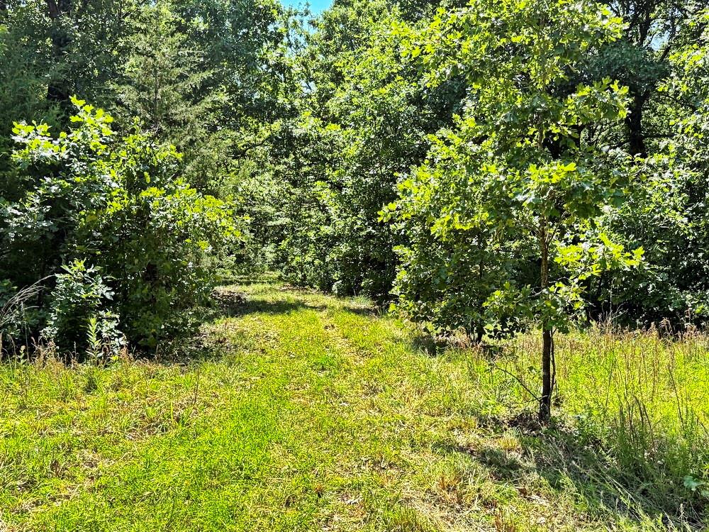 Tbd3 East 1550 Road Jerico Springs, MO 64756 - Photo 36 of 42