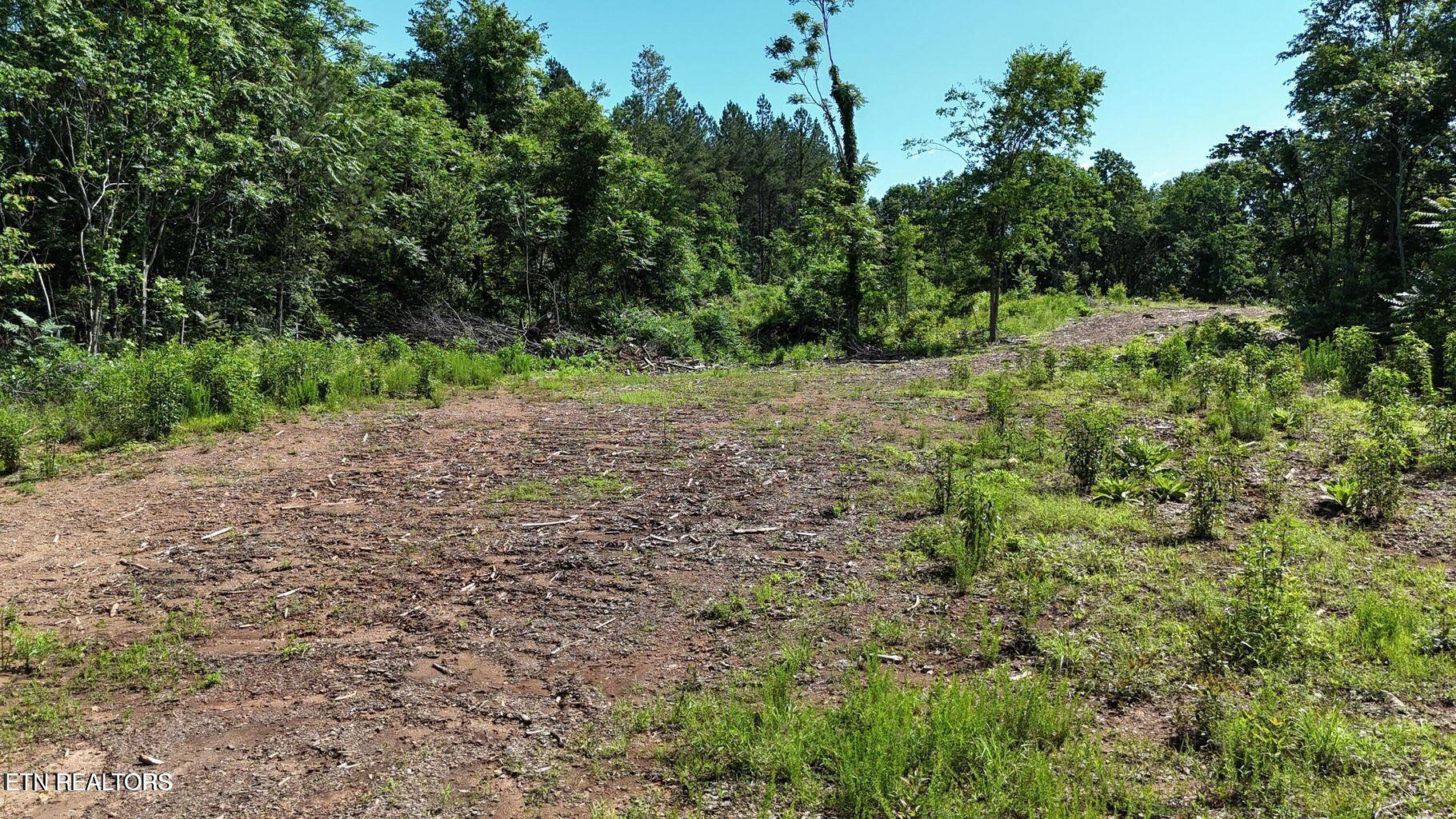 Lot 2 Lamontville Road Decatur, TN 37322 - Photo 2 of 8 20250524172449813413000000-o