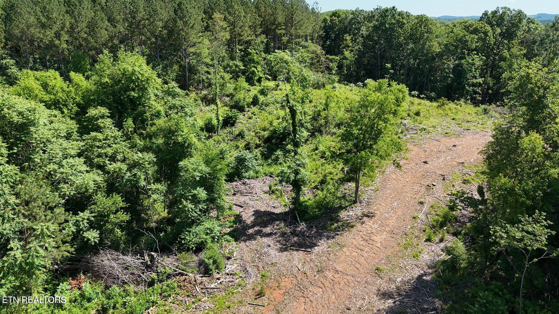 Lot 2 Lamontville Road Decatur, TN 37322 - Photo 4 of 8 20250524172416523838000000-o