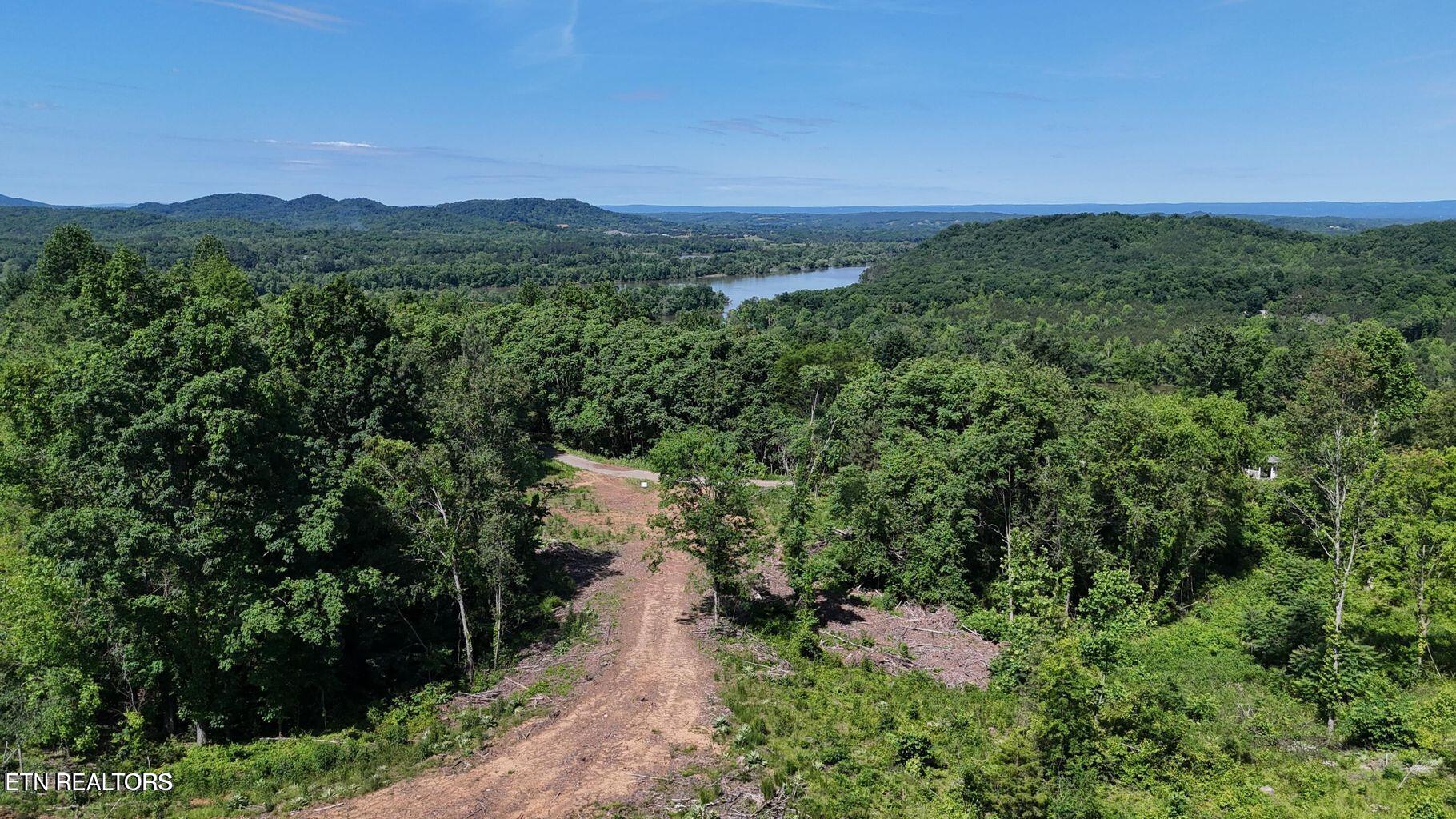 Lot 2 Lamontville Road Decatur, TN 37322 - Photo 5 of 8 20250524172328557604000000-o