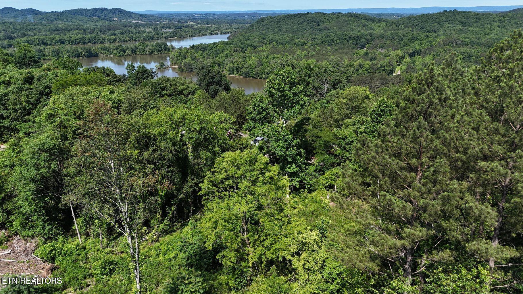 Lot 2 Lamontville Road Decatur, TN 37322 - Photo 7 of 8 20250524172216061042000000-o