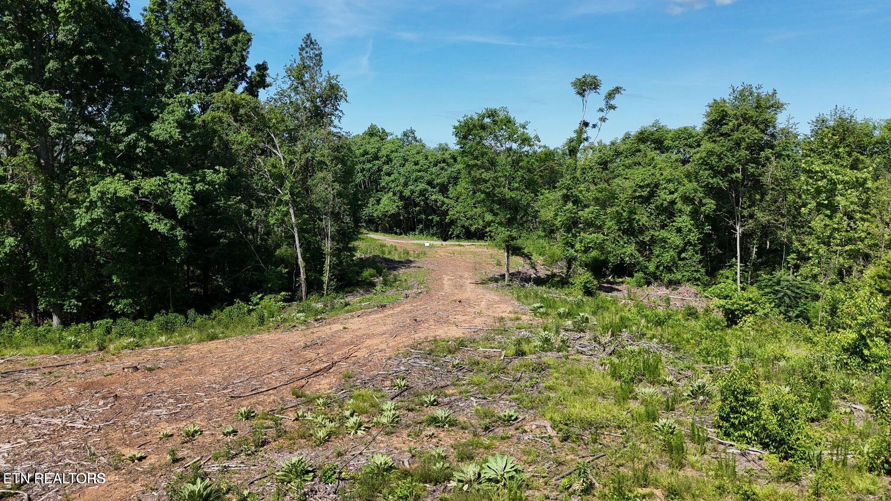 Lot 2 Lamontville Road Decatur, TN 37322 - Photo 8 of 8 20250524172309967548000000-o