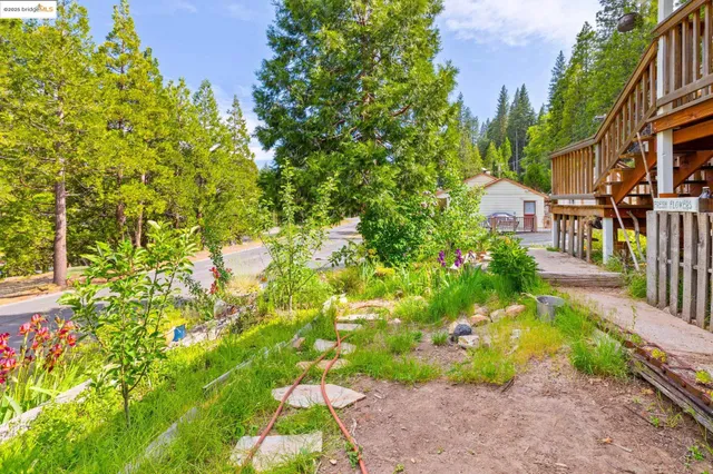 a backyard of a house with a garden and plants