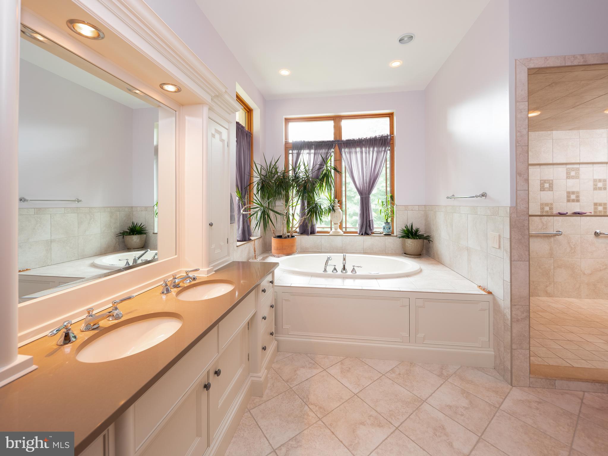3752 Lehnenberg Road Riegelsville, PA 18077 - Photo 10 of 29 Master Bath