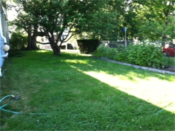 53 River Street Arlington, MA 02474 - Photo 2 of 23 Gallery Image 2