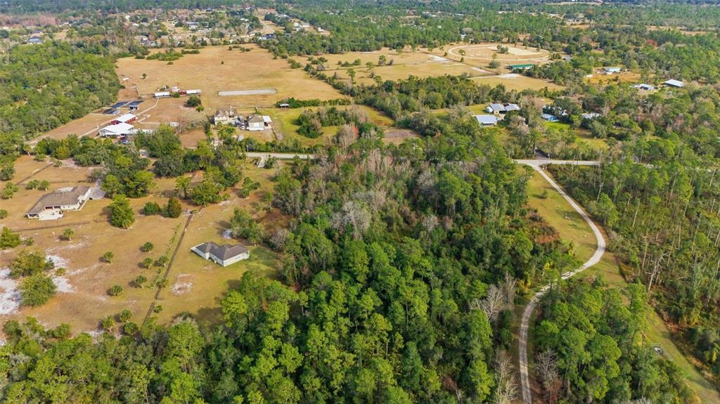 4604 North Fort Christmas Road Christmas, FL 32820 - Photo 39 of 41 a view of a yard