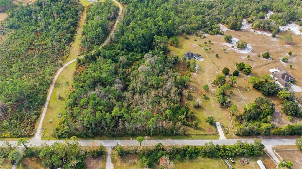 4604 North Fort Christmas Road Christmas, FL 32820 - Photo 41 of 41 a view of a yard