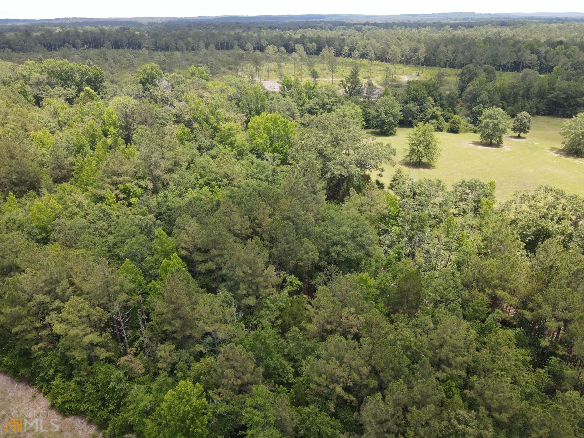 a view of a forest with a lake