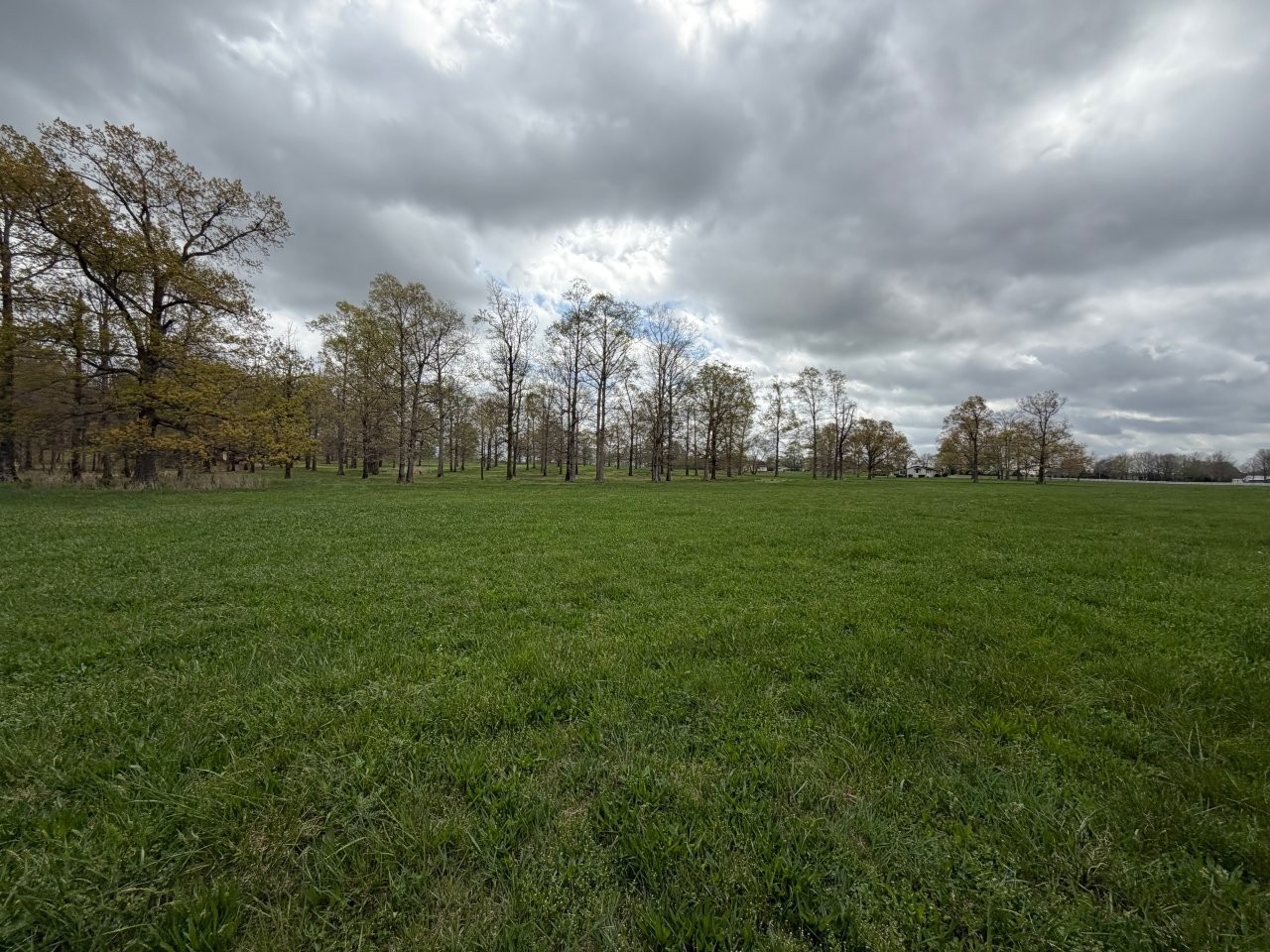 1 Ledford Mill Road Tullahoma, TN 37388 - Photo 7 of 15