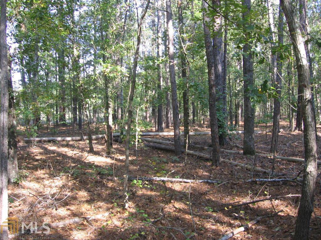 0 Piney Mount Road, Unit SEC A Tennille, GA 31089 - Photo 1 of 1 paved road frontage view # 1