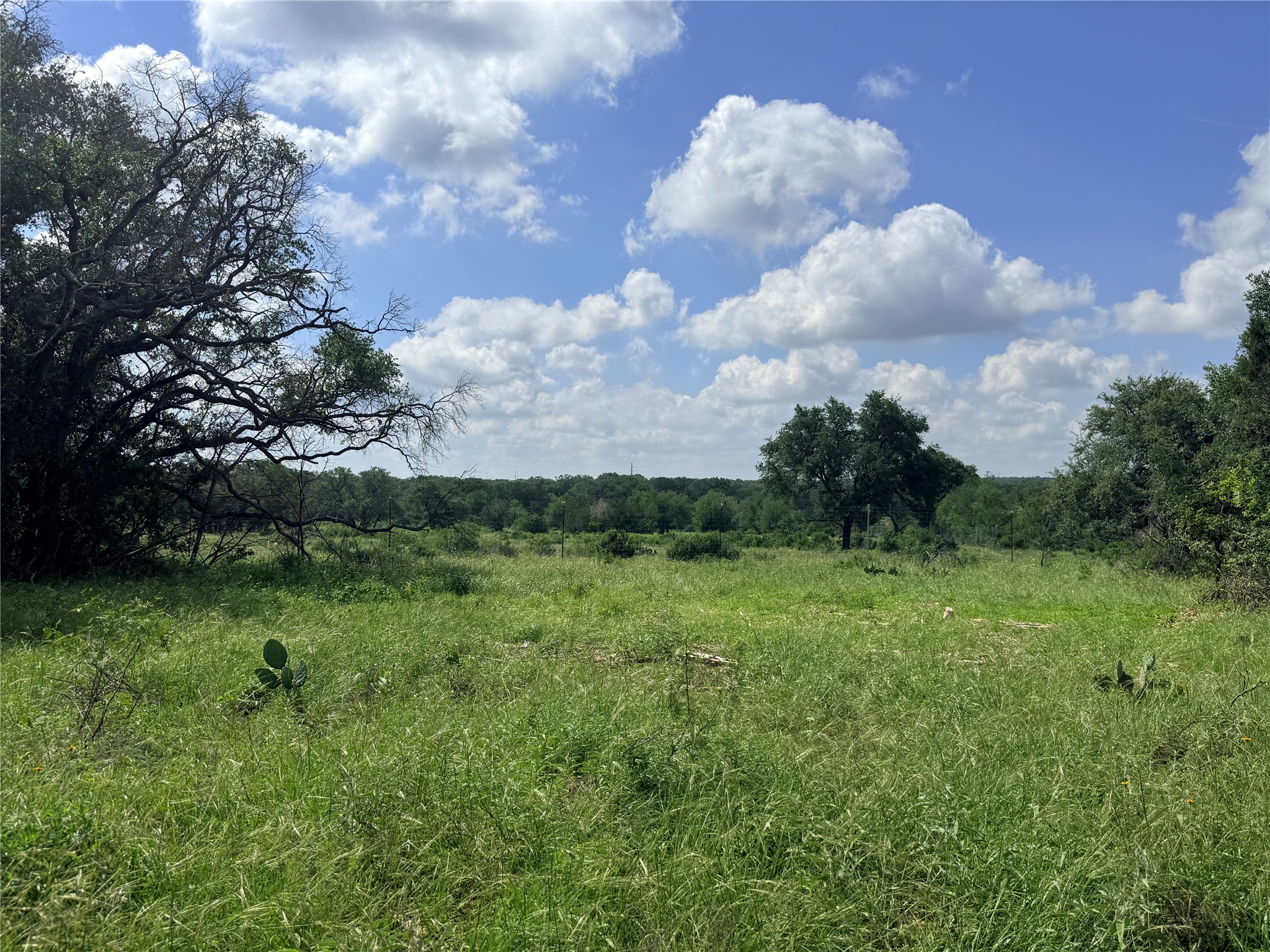 2013 Hilliard Road San Marcos, TX 78666 - Photo 5 of 37 Multiple building site options with long views, lightly residentially restricted.