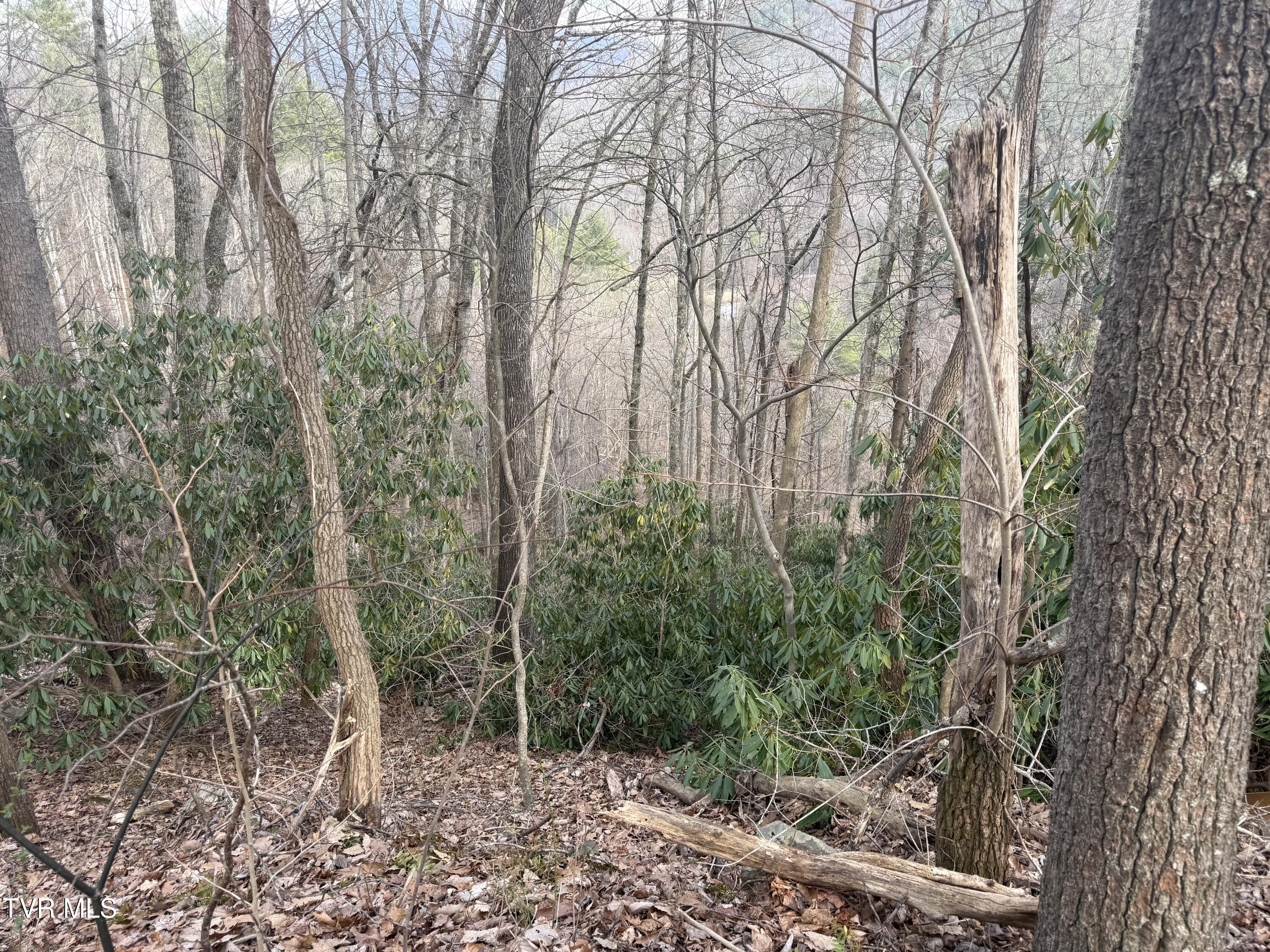 Tbd Tbd Banjo Ridge, Unit 8 37 38 Butler, TN 37640 - Photo 11 of 11 banjo ridge cluster 9