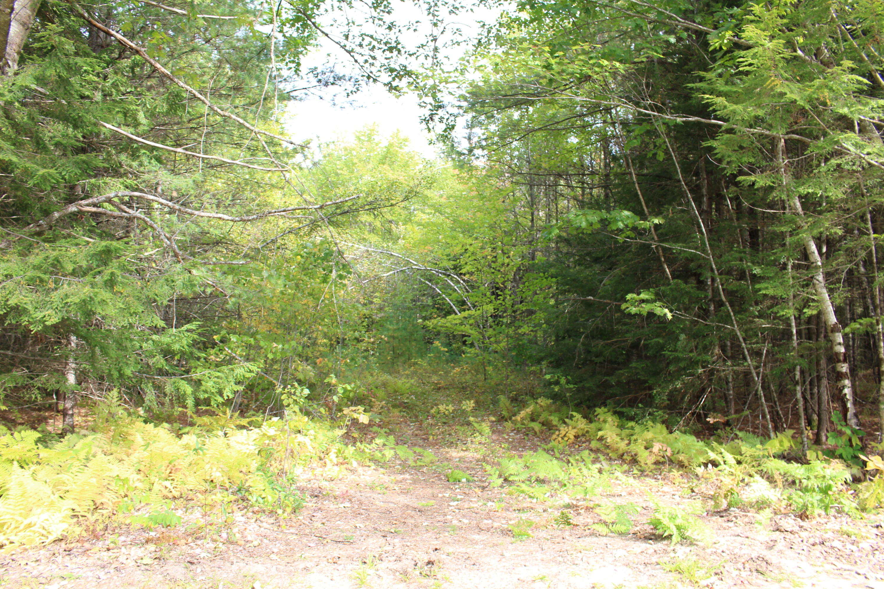 285 B Sweden Road Waterford, ME 04088 - Photo 14 of 14 IMG_0953