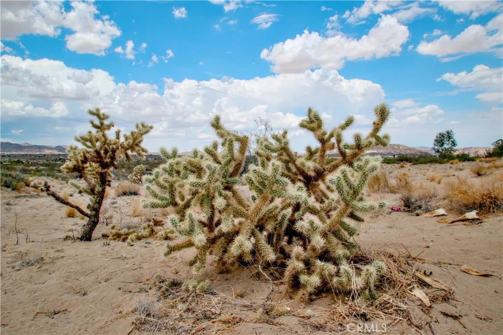 0 Easton Landers, CA 92285 - Photo 2 of 22 a view of beach covered with snow