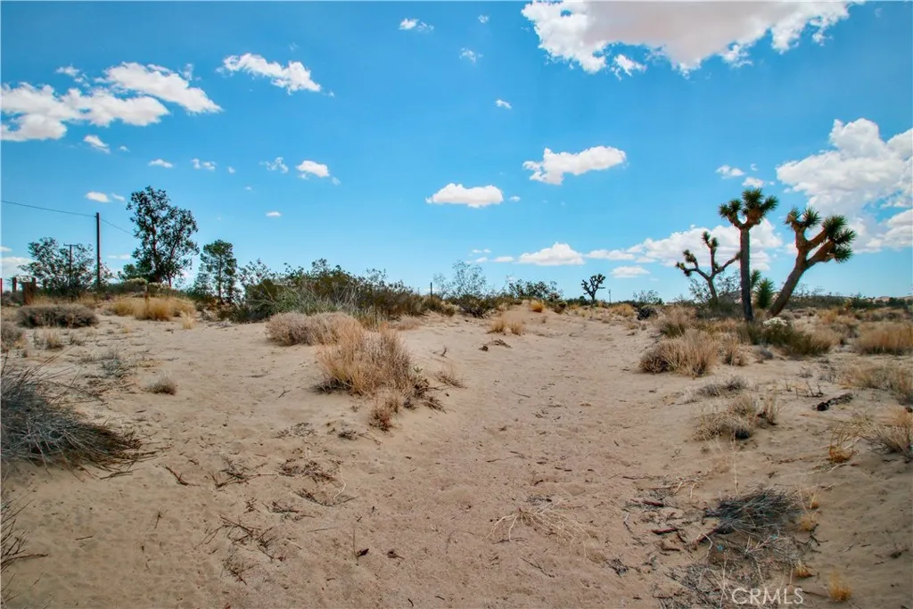 0 Easton Landers, CA 92285 - Photo 22 of 22 a view of a dry yard with lots of bushes