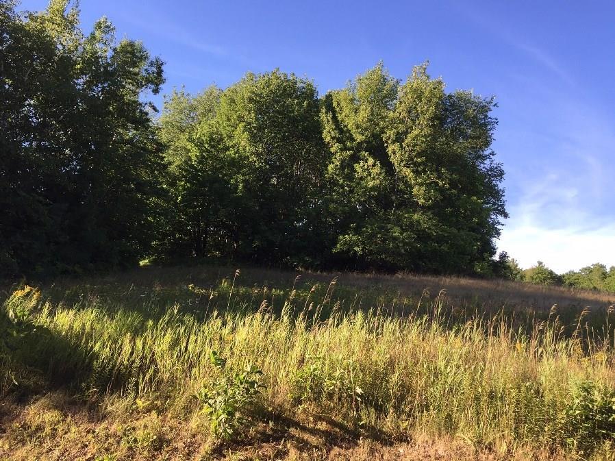 0 Old Cart Road Liberty, ME 04949 - Photo 1 of 1 Photo