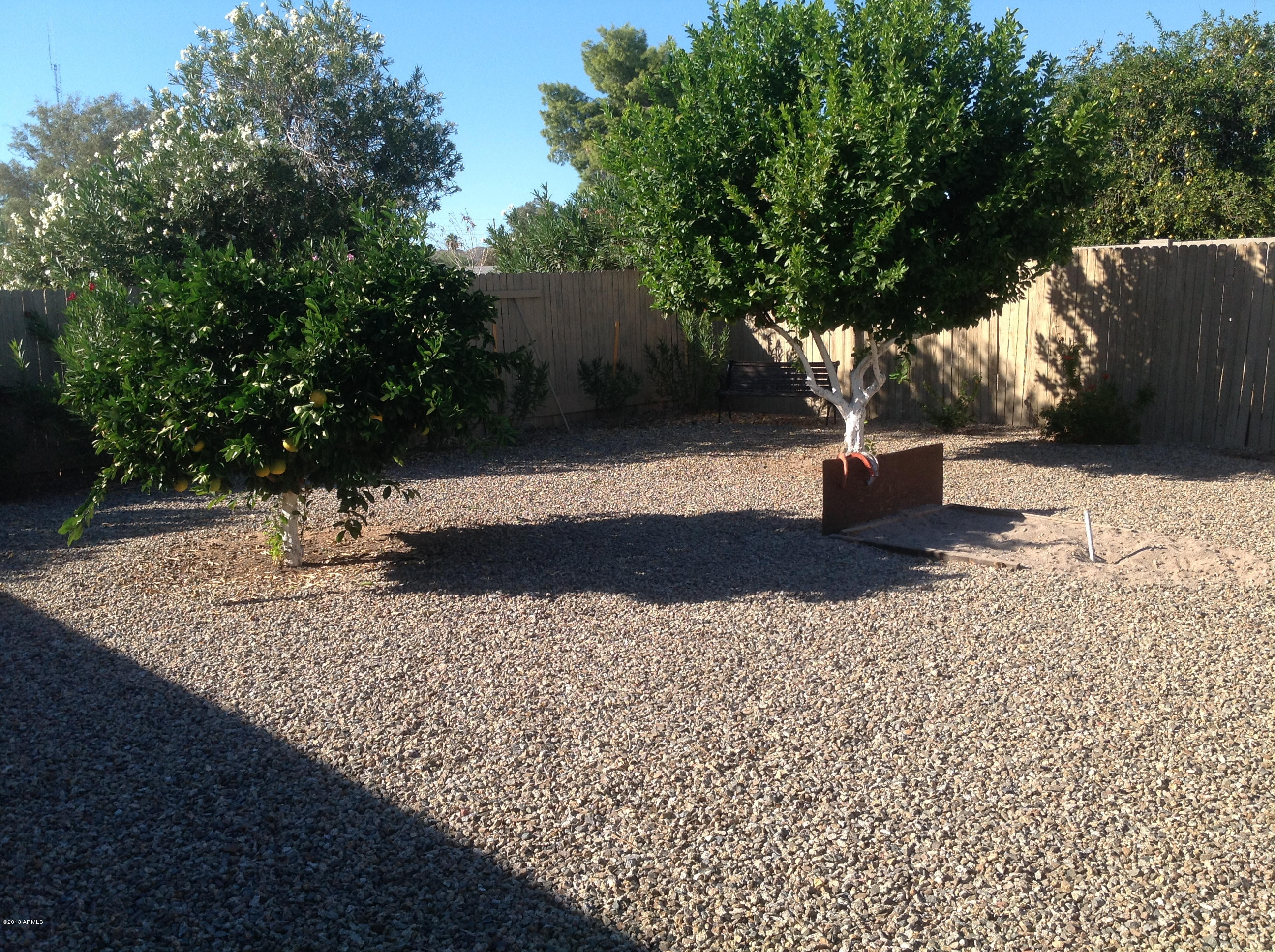 3316 East Bloomfield Road Phoenix, AZ 85032 - Photo 13 of 18 Backyard