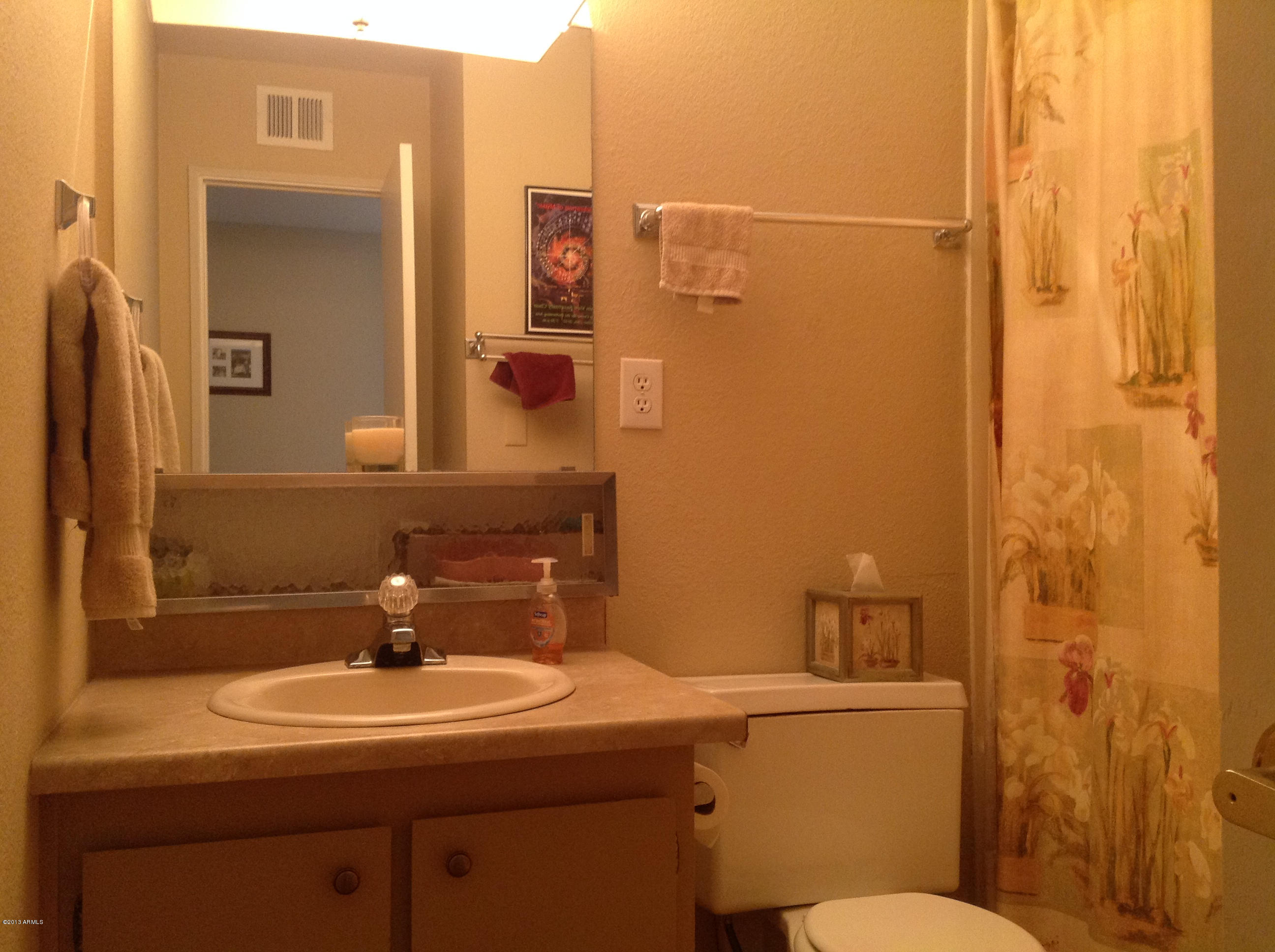 3316 East Bloomfield Road Phoenix, AZ 85032 - Photo 8 of 18 Bathroom #2
