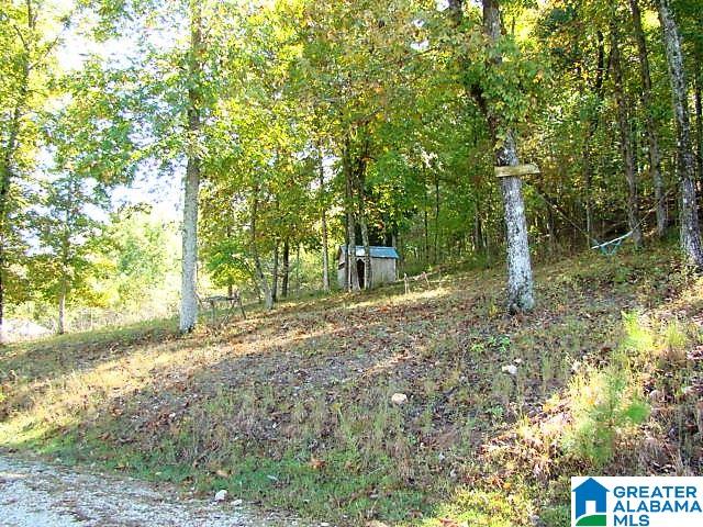889 Hunter Road Ohatchee, AL 36271 - Photo 29 of 44