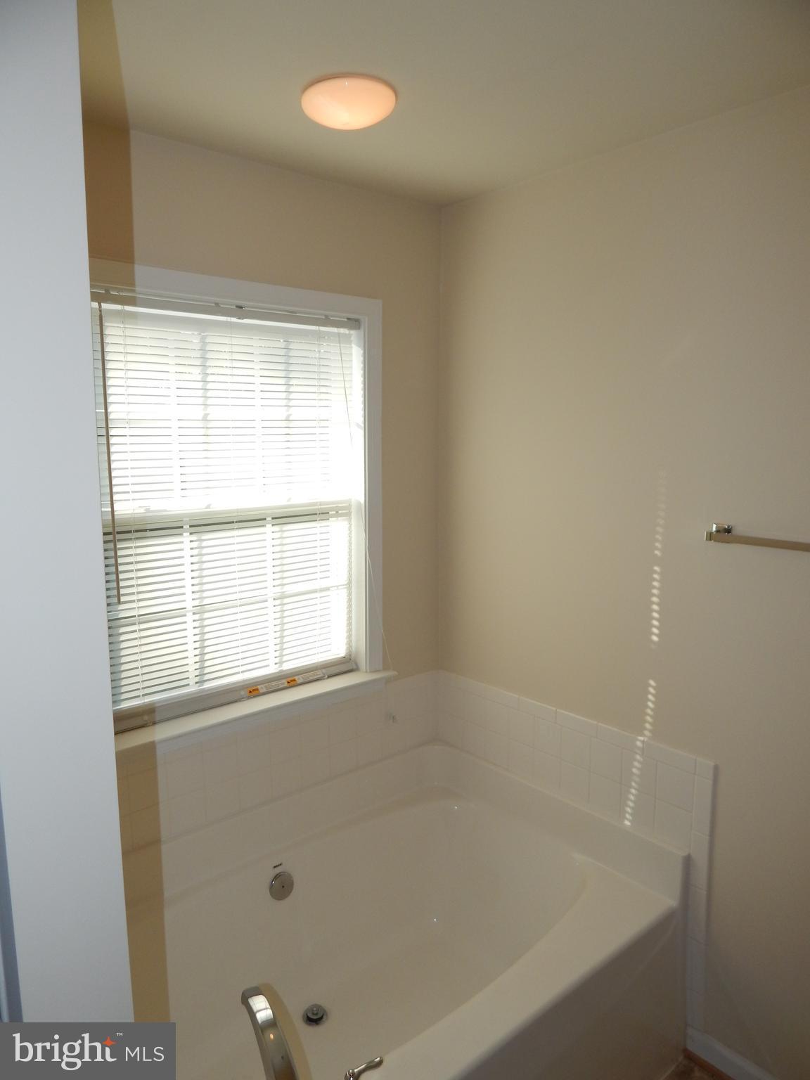 124 Raphael Court Martinsburg, WV 25403 - Photo 18 of 30 a bathroom with a bathtub