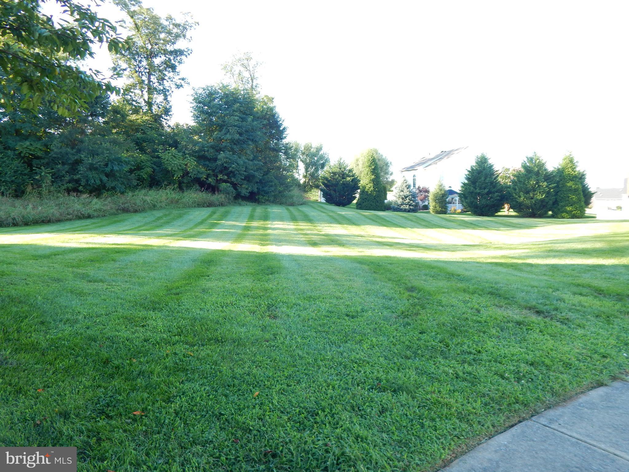 124 Raphael Court Martinsburg, WV 25403 - Photo 3 of 30 a view of a big yard with an trees