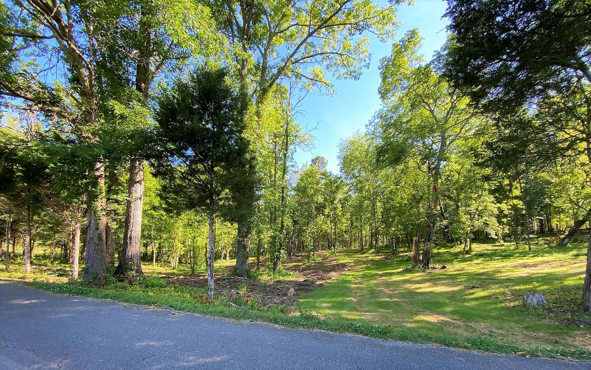 Main Hollow Road Philadelphia, TN 37846 - Photo 2 of 26 IMG_3950