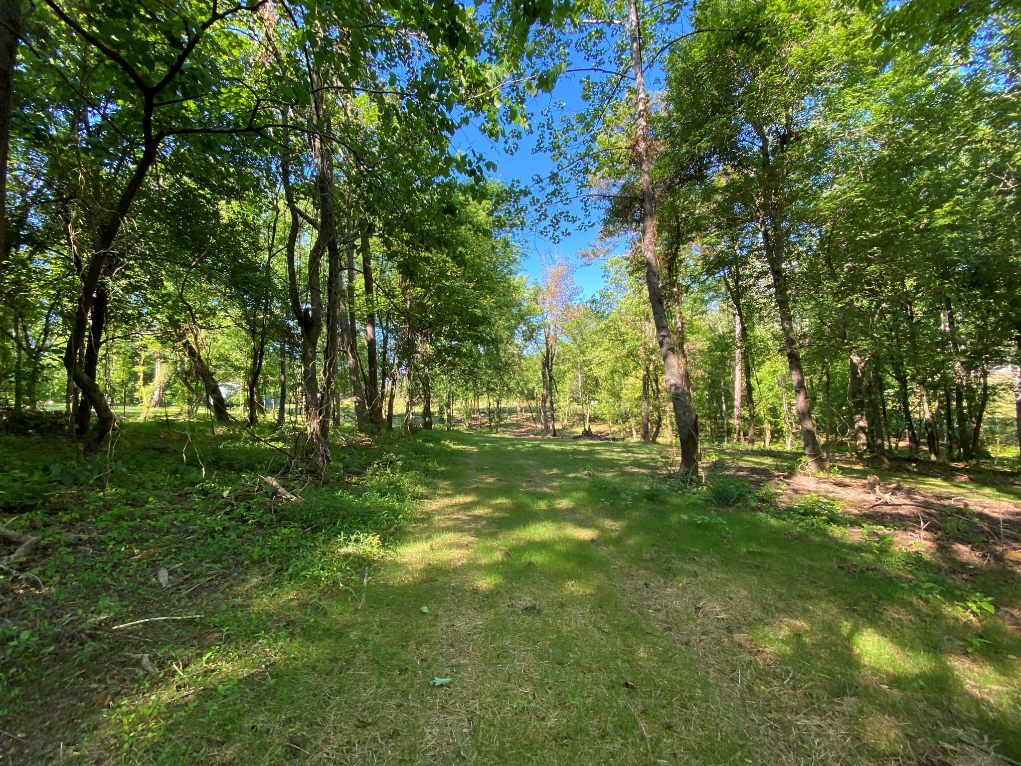 Main Hollow Road Philadelphia, TN 37846 - Photo 20 of 26 IMG_3943