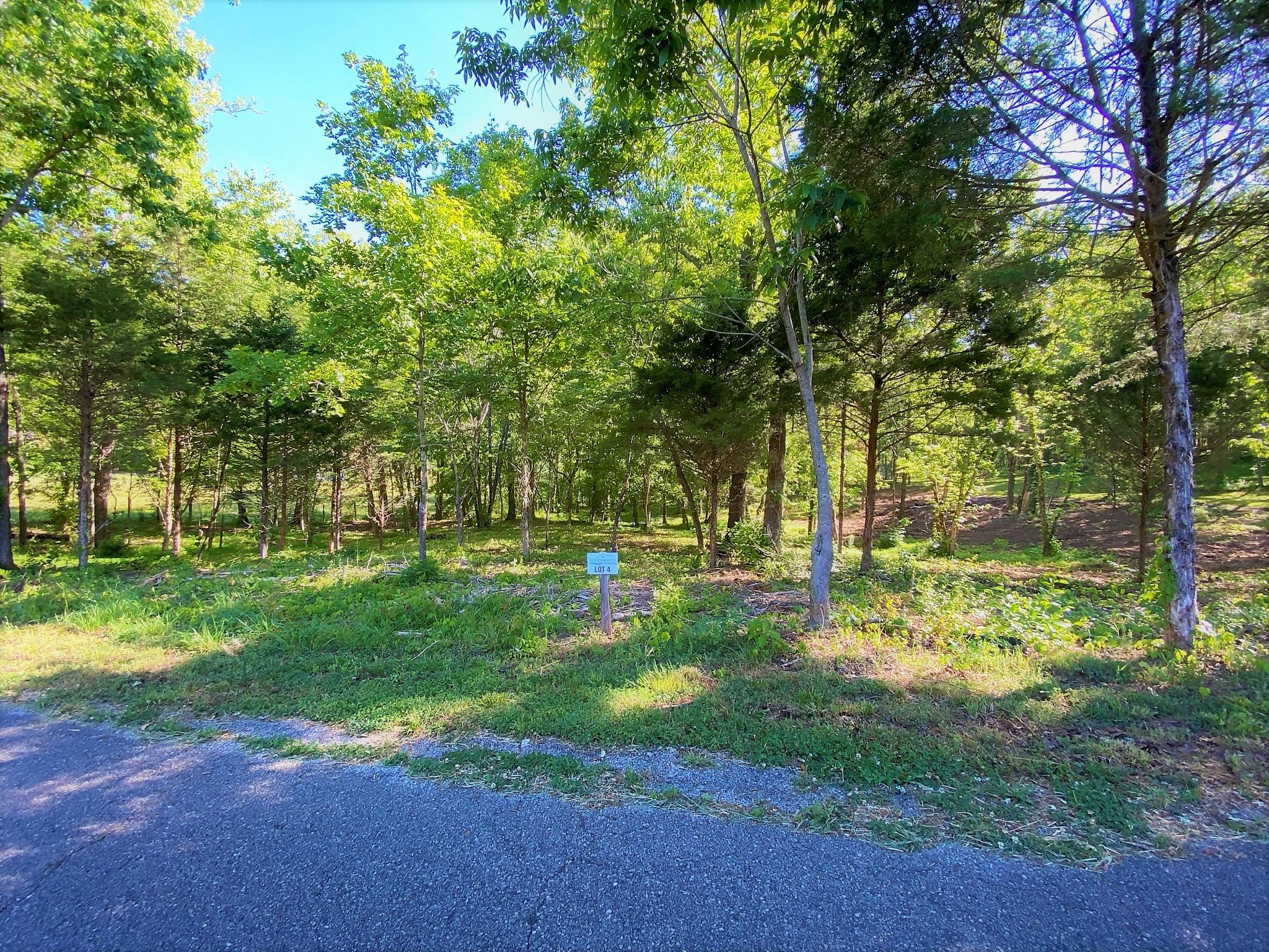 Main Hollow Road Philadelphia, TN 37846 - Photo 21 of 26 IMG_3944