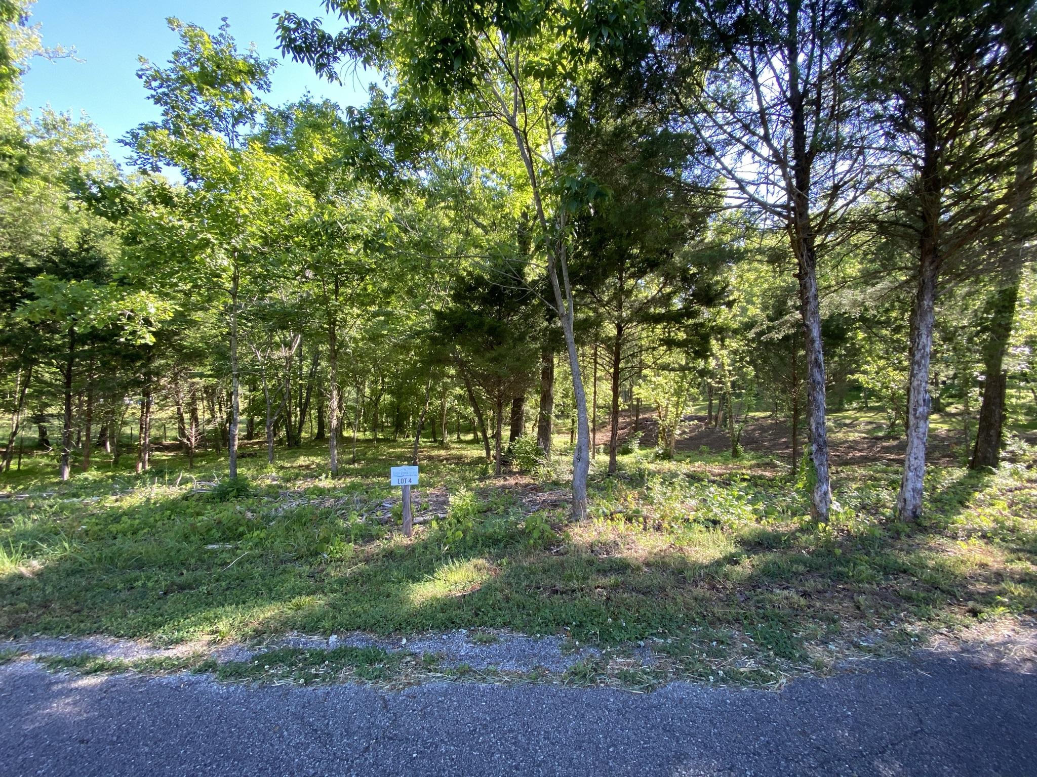 Main Hollow Road Philadelphia, TN 37846 - Photo 22 of 26 IMG_3945