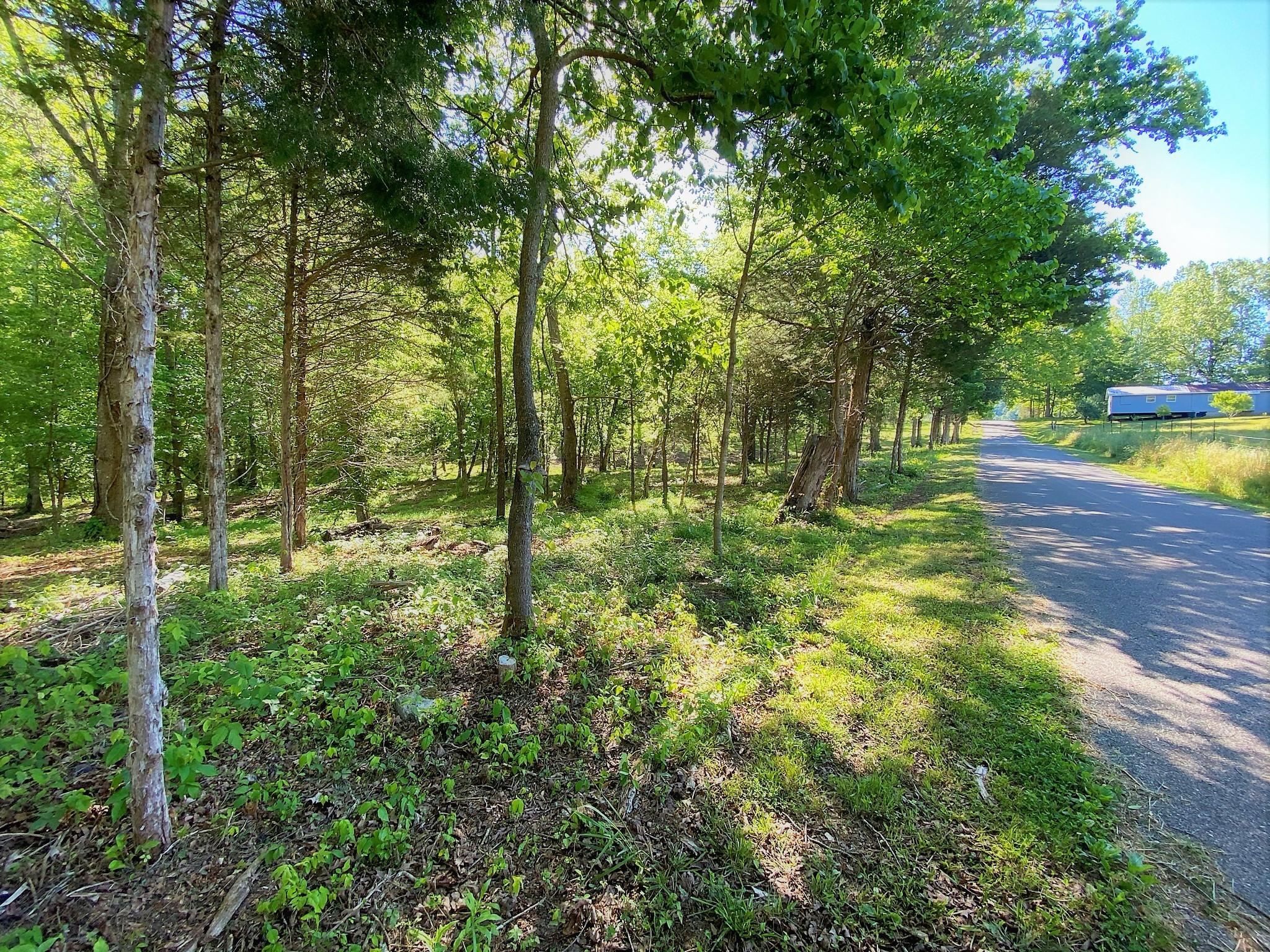 Main Hollow Road Philadelphia, TN 37846 - Photo 23 of 26 IMG_3946