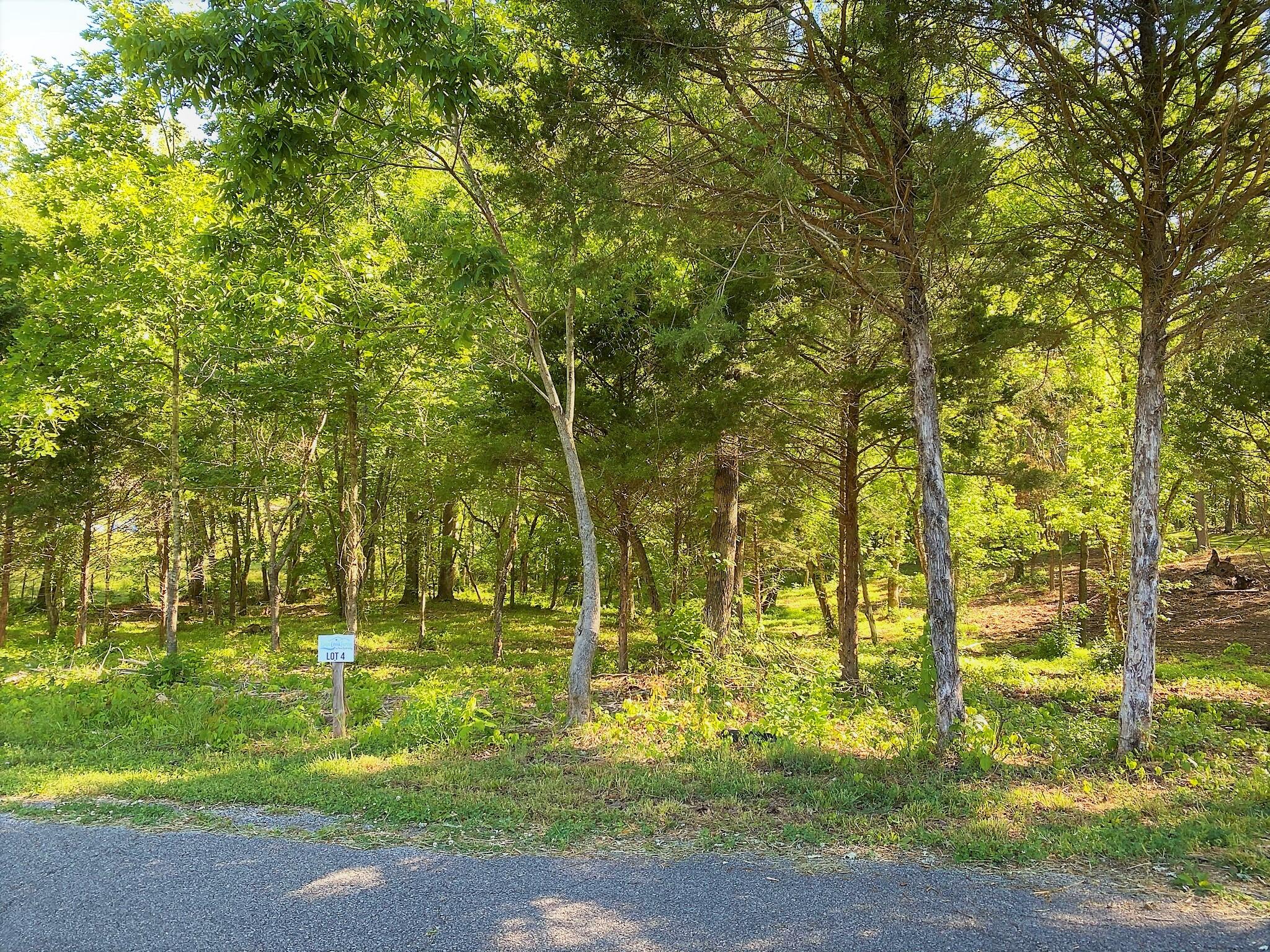 Main Hollow Road Philadelphia, TN 37846 - Photo 25 of 26 IMG_3948