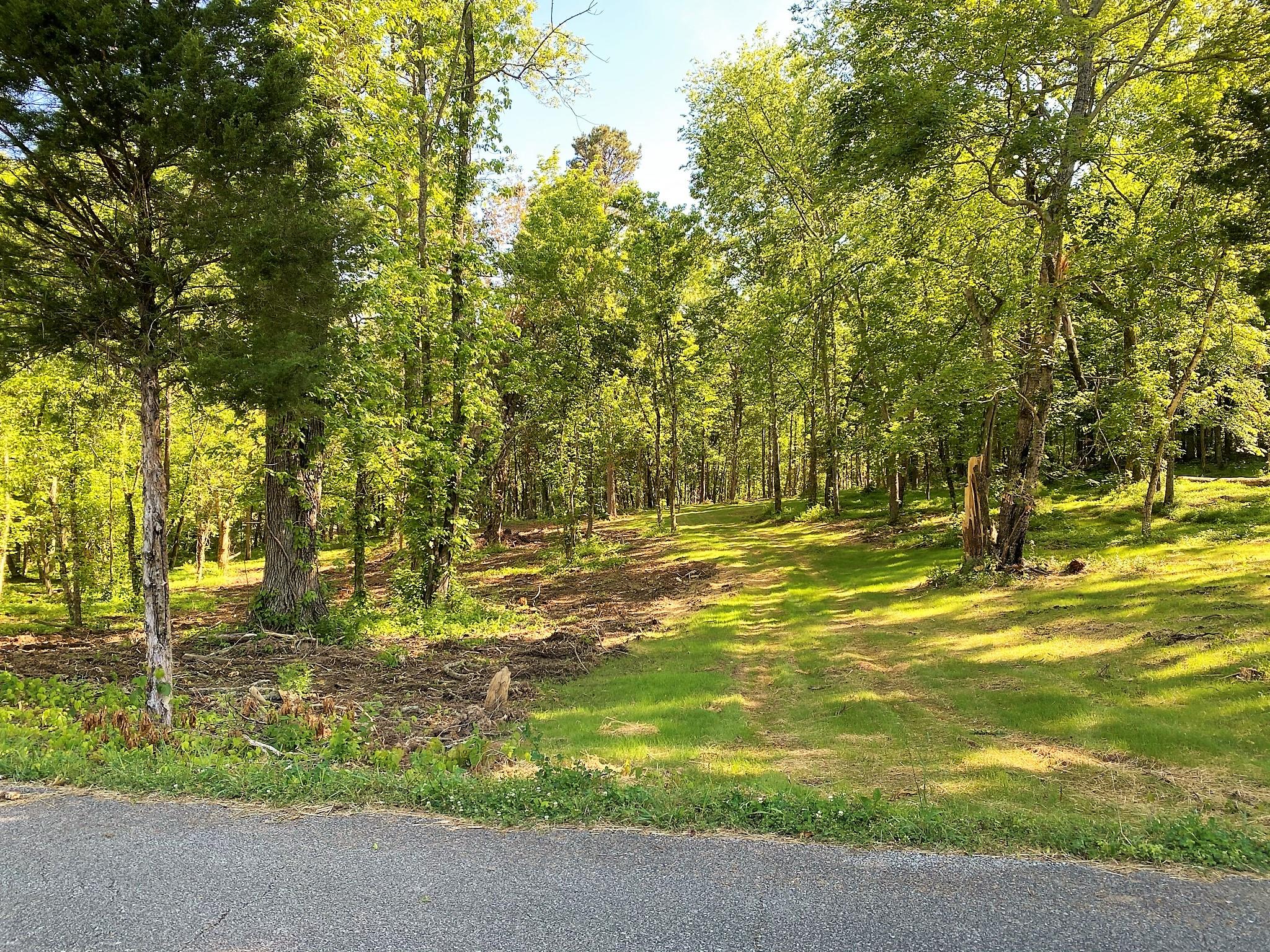 Main Hollow Road Philadelphia, TN 37846 - Photo 26 of 26 IMG_3949