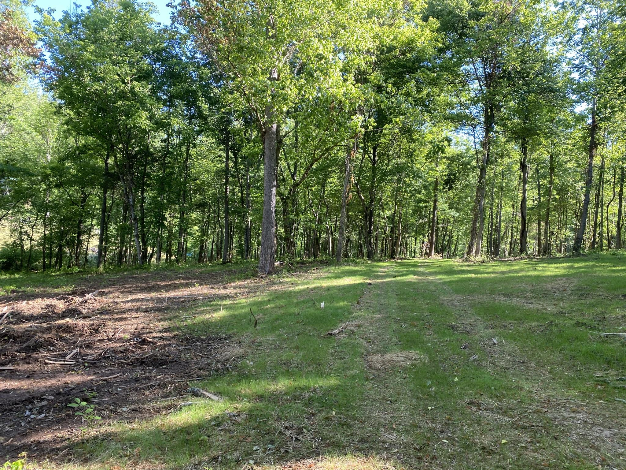 Main Hollow Road Philadelphia, TN 37846 - Photo 6 of 26 IMG_3926