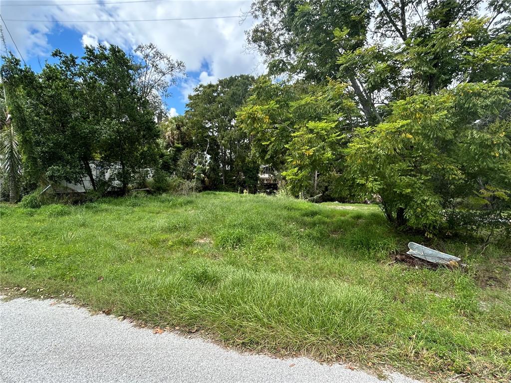 a view of a green field with lots of bushes