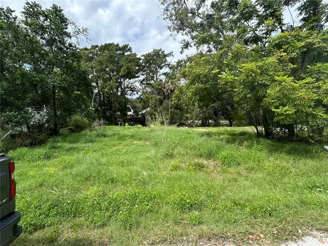 a view of green field with trees in the background
