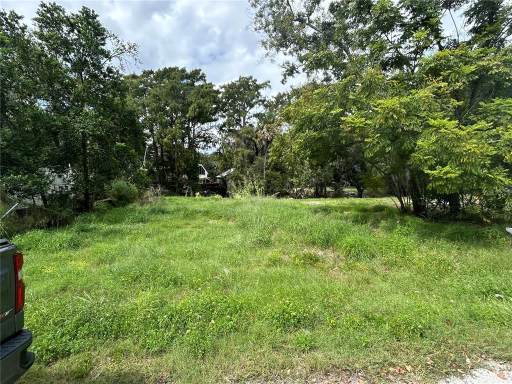 16 Riverrun Road New Port Richey, FL 34655 - Photo 2 of 4 a view of green field with trees in the background