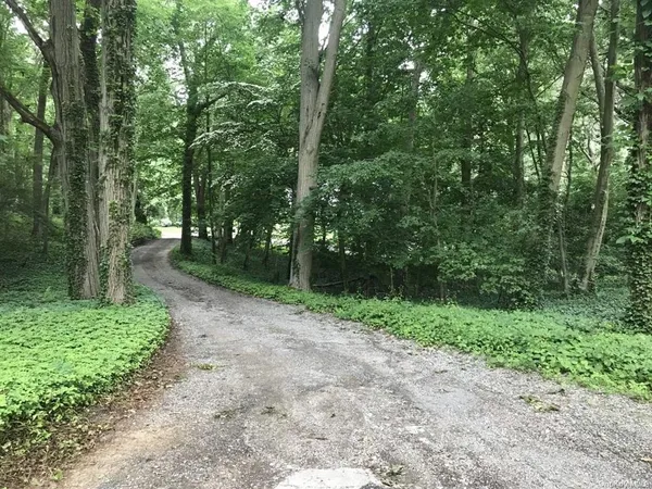 a view of a forest with trees