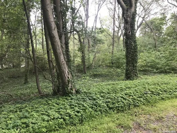 a view of a road with trees in the background