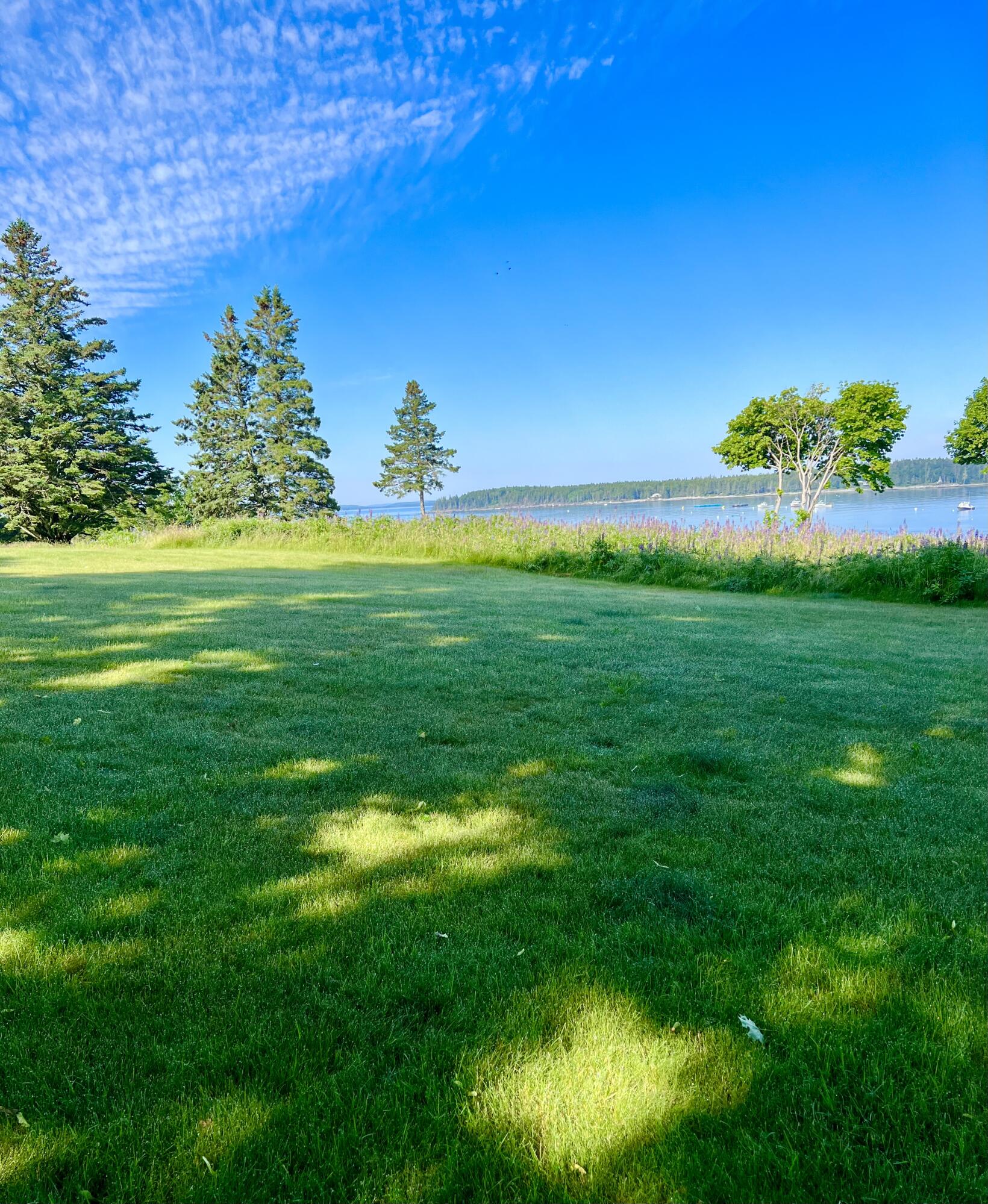 28 A Richardson Road, Unit 11 Tremont, ME 04653 - Photo 52 of 58 Front lawn